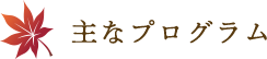 主なプログラム